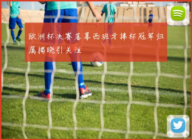 欧洲杯决赛落幕西班牙捧杯冠军归属揭晓引关注