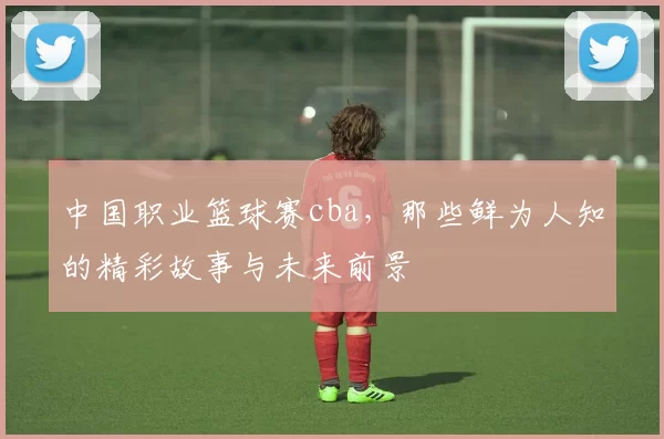 中国职业篮球赛cba,那些鲜为人知的精彩故事与未来前景