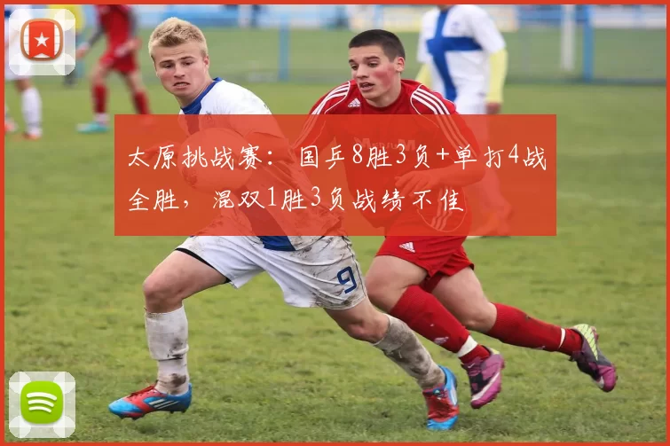 太原挑战赛:国乒8胜3负+单打4战全胜,混双1胜3负战绩不佳